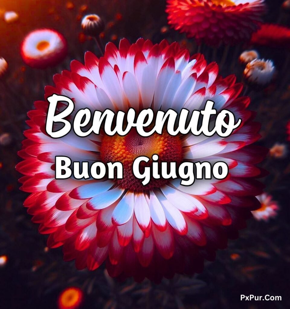 Buon Primo Giugno Buongiorno