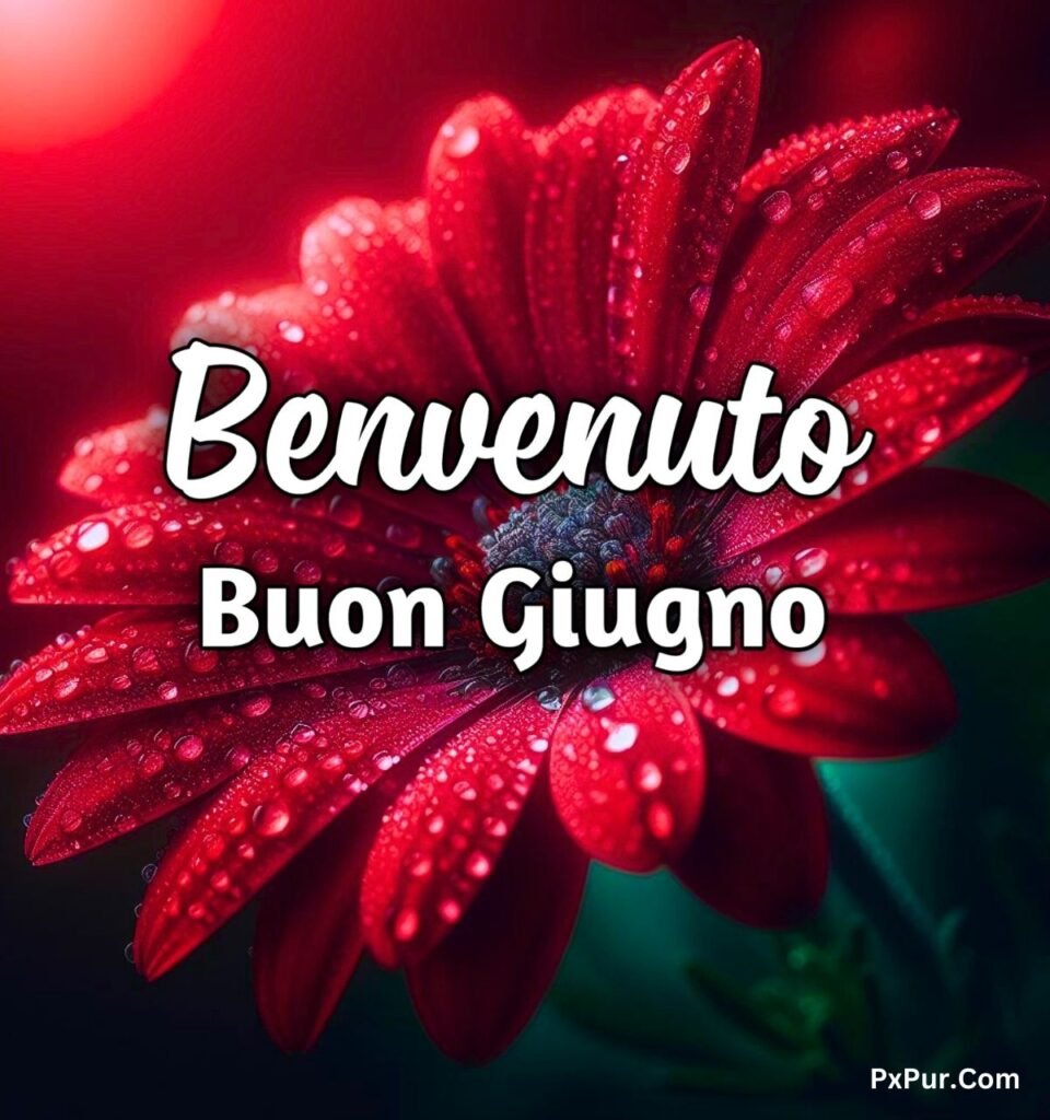 Buongiorno 1 Giugno 2024 Immagini Gratis