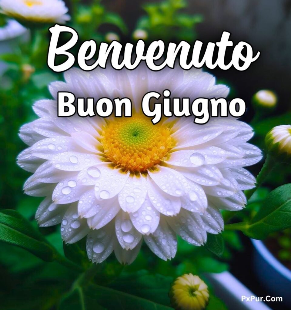 Buongiorno 1 Giugno