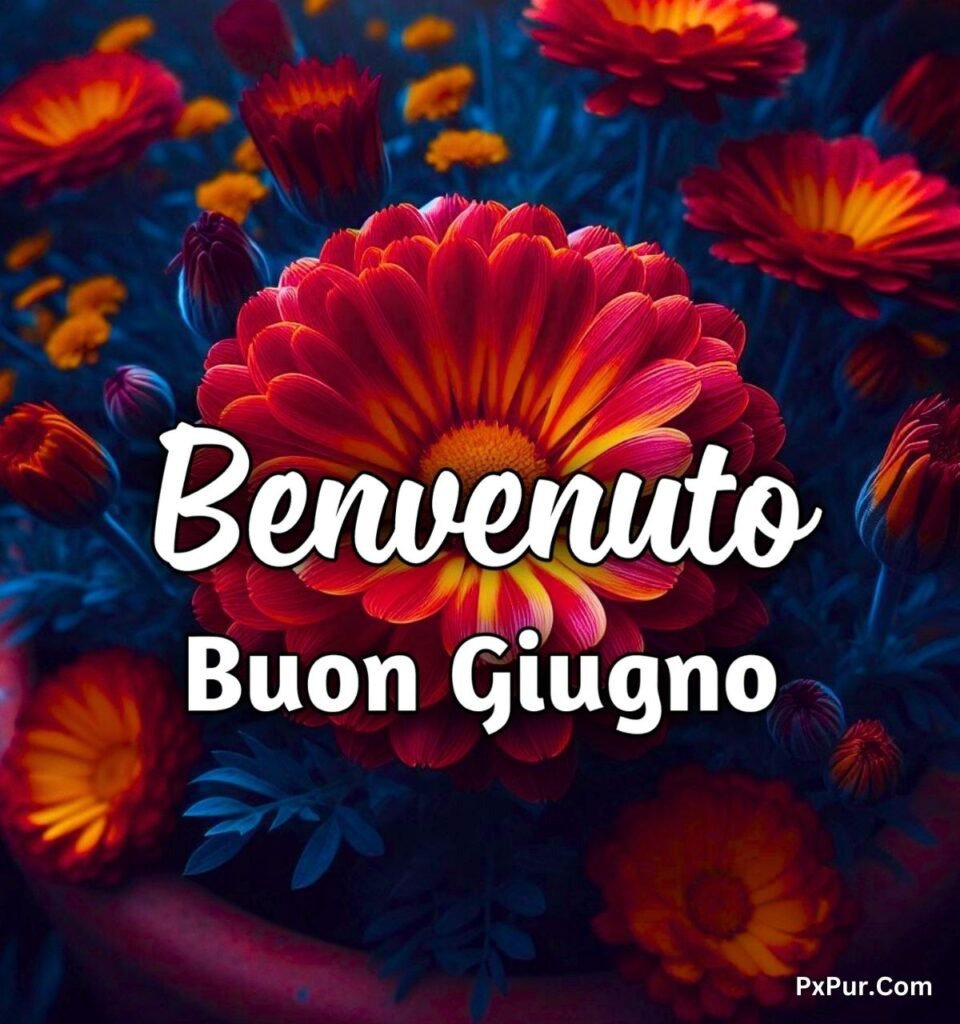 Buongiorno 1 Giugno Sabato