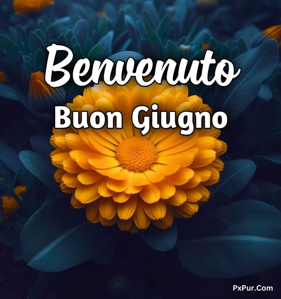 Buongiorno 1 Giugno Benvenuto