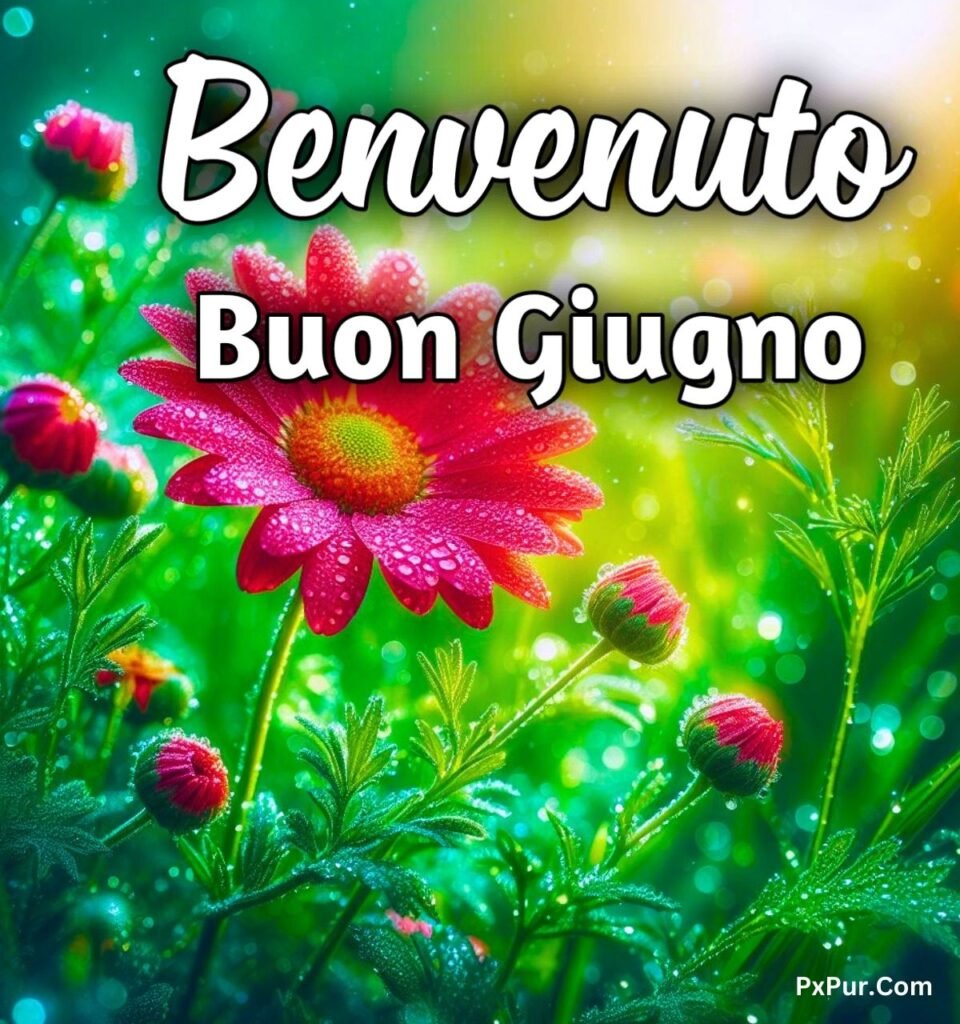 Buongiorno 7 Giugno 2024 Immagini