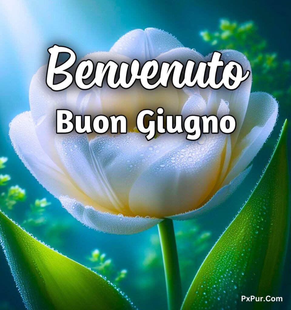 Buongiorno Benvenuto Giugno 2024 Immagini