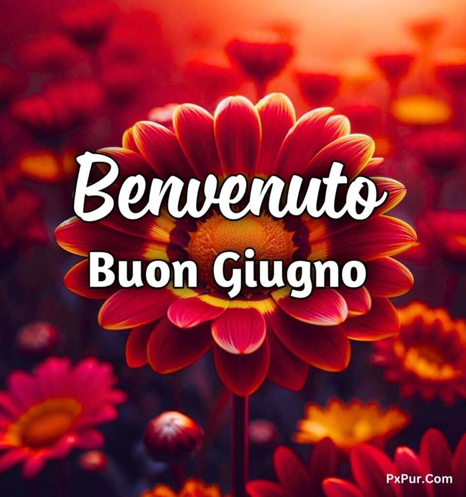 Buongiorno Benvenuto Giugno