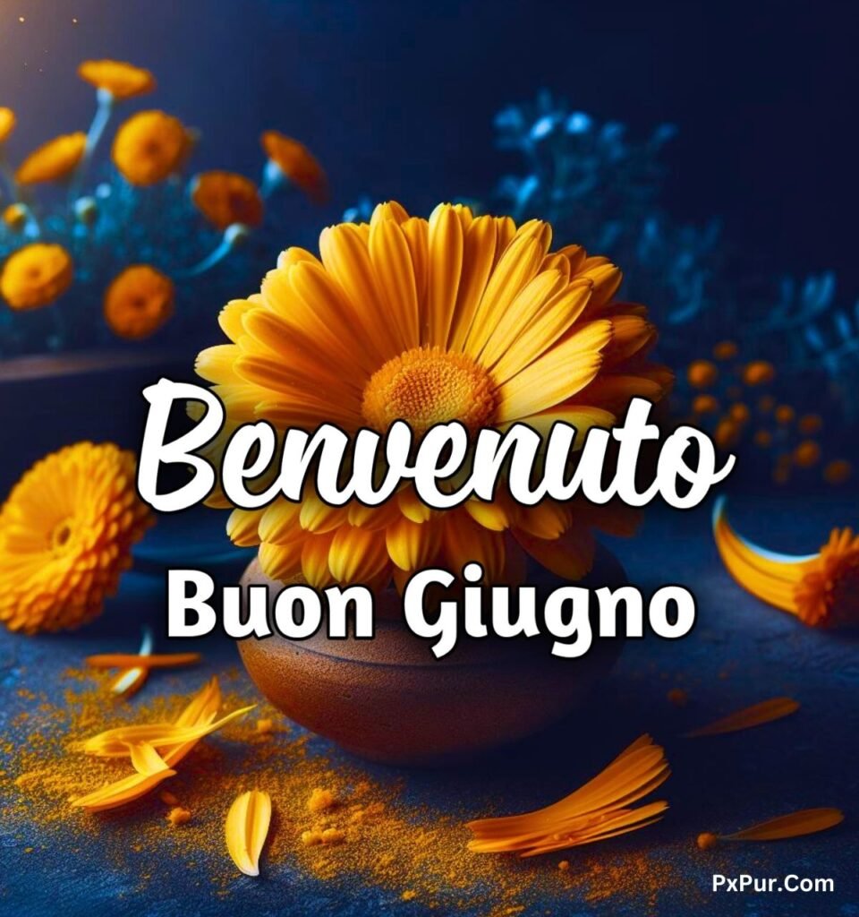 Buongiorno Buon 1 Giugno 2024 Immagini