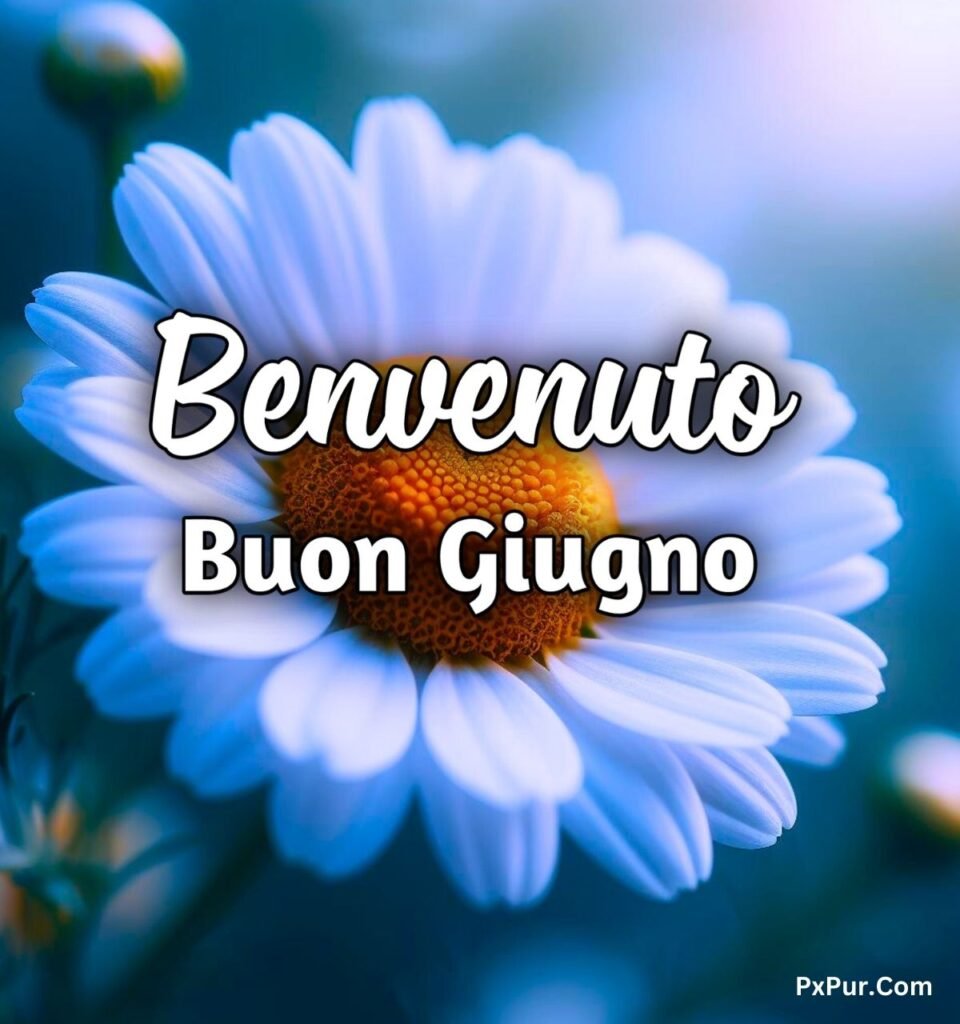 Buongiorno Buon 1 Giugno