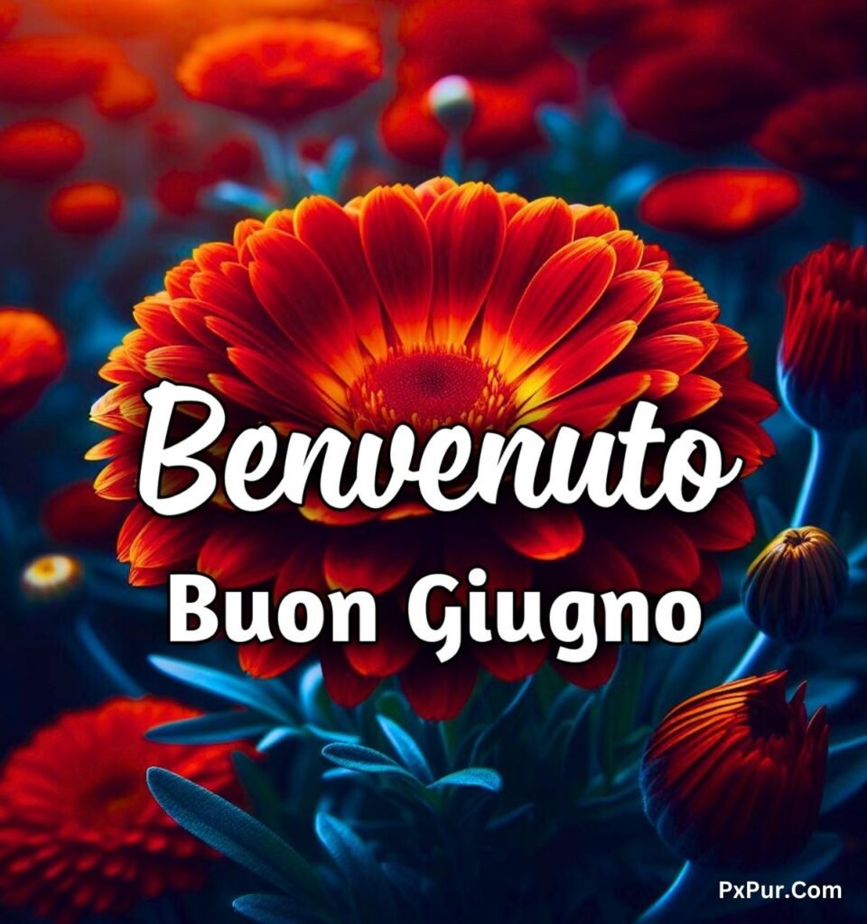 Buongiorno Buon Sabato 1 Giugno 2024