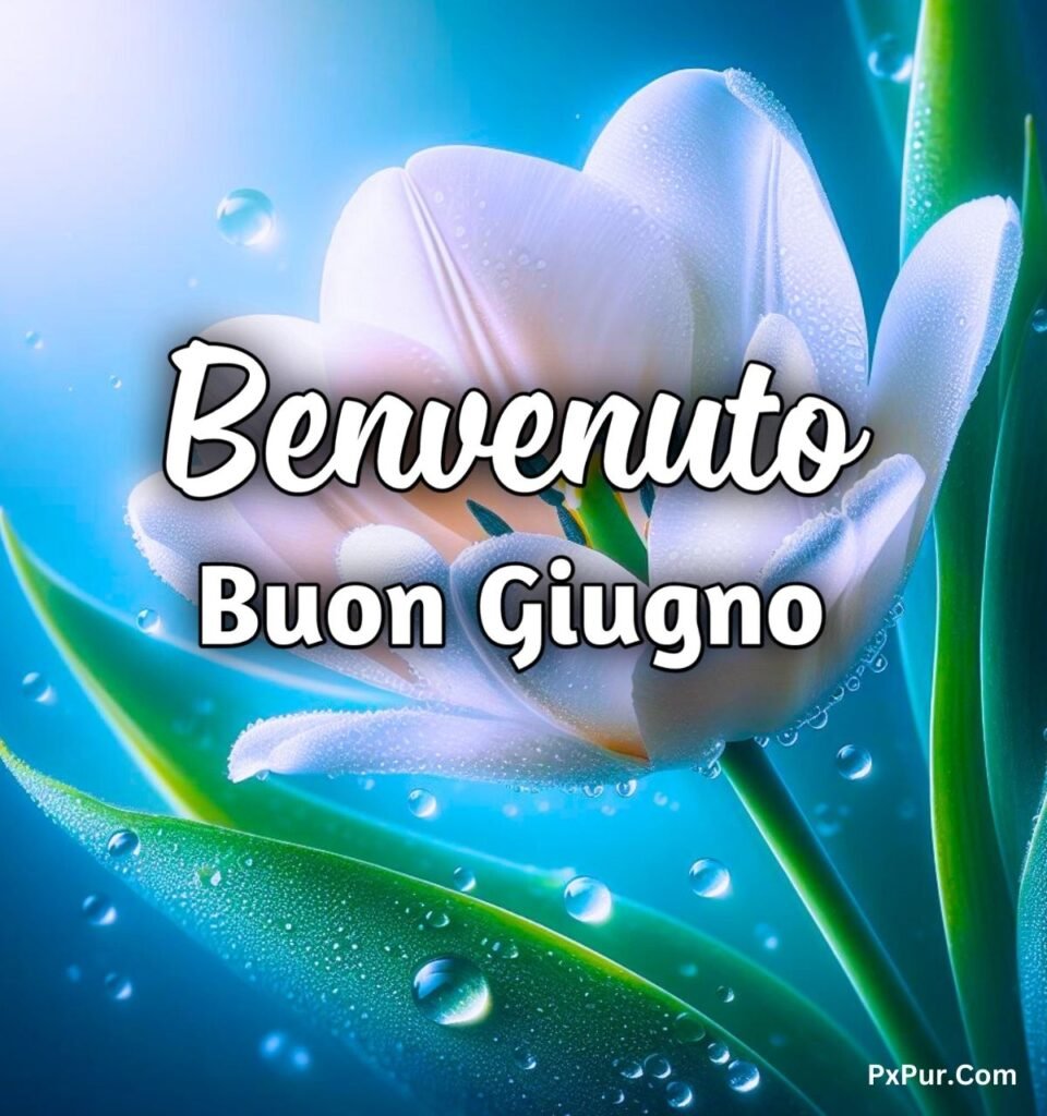 Buongiorno Buon Primo Giugno 2024