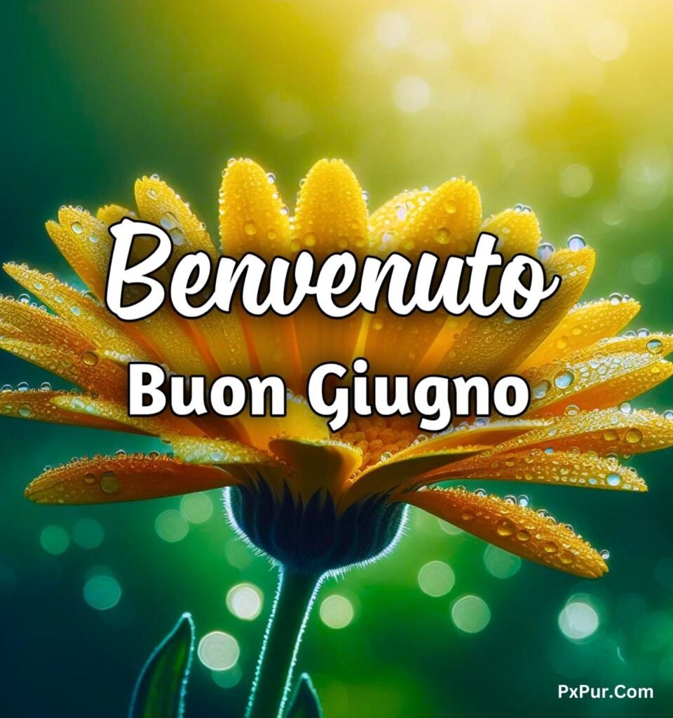 Buongiorno E Benvenuto Giugno