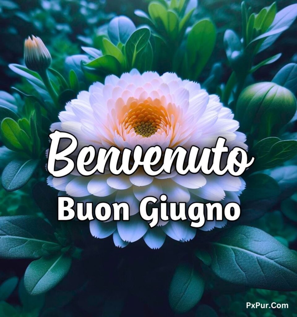 Buongiorno E Buon 1 Giugno 2024 Immagini