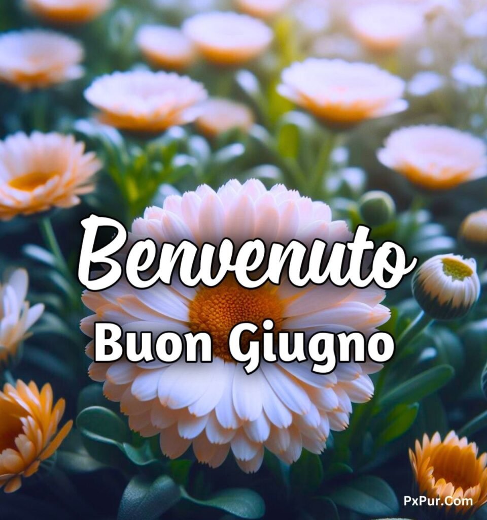 Buongiorno E Buon 1 Giugno