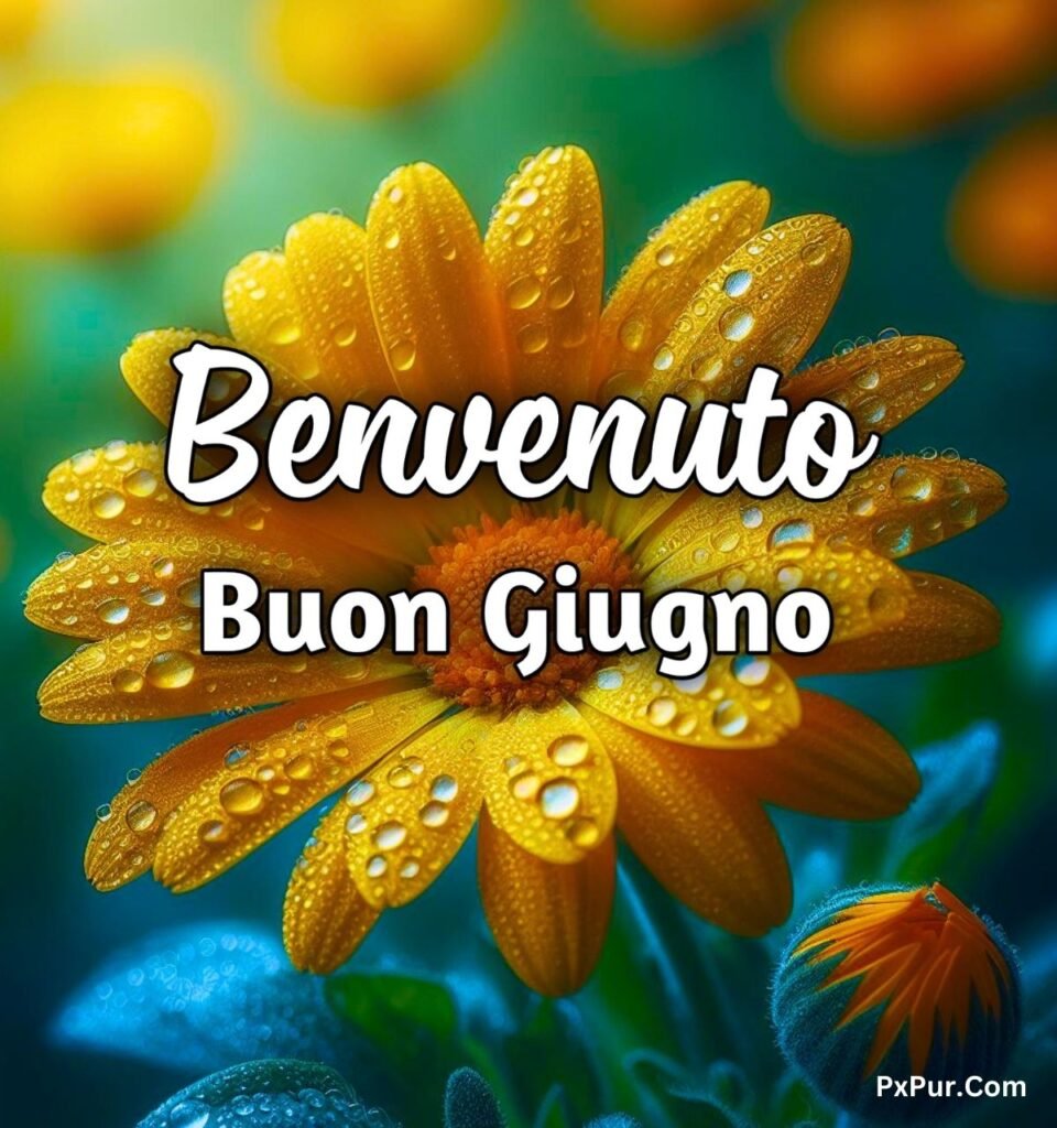 Buongiorno Giugno 2024 Immagini Gratis