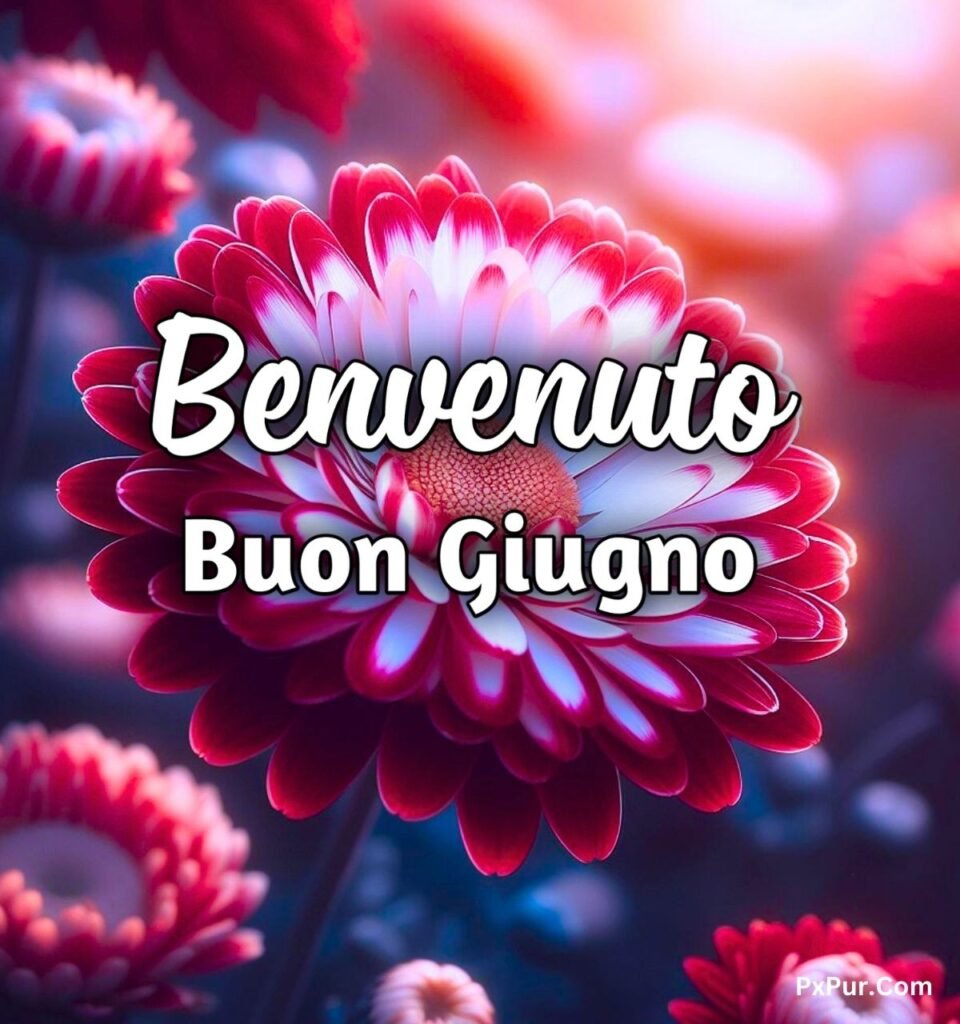 Immagini 1 Giugno Buongiorno