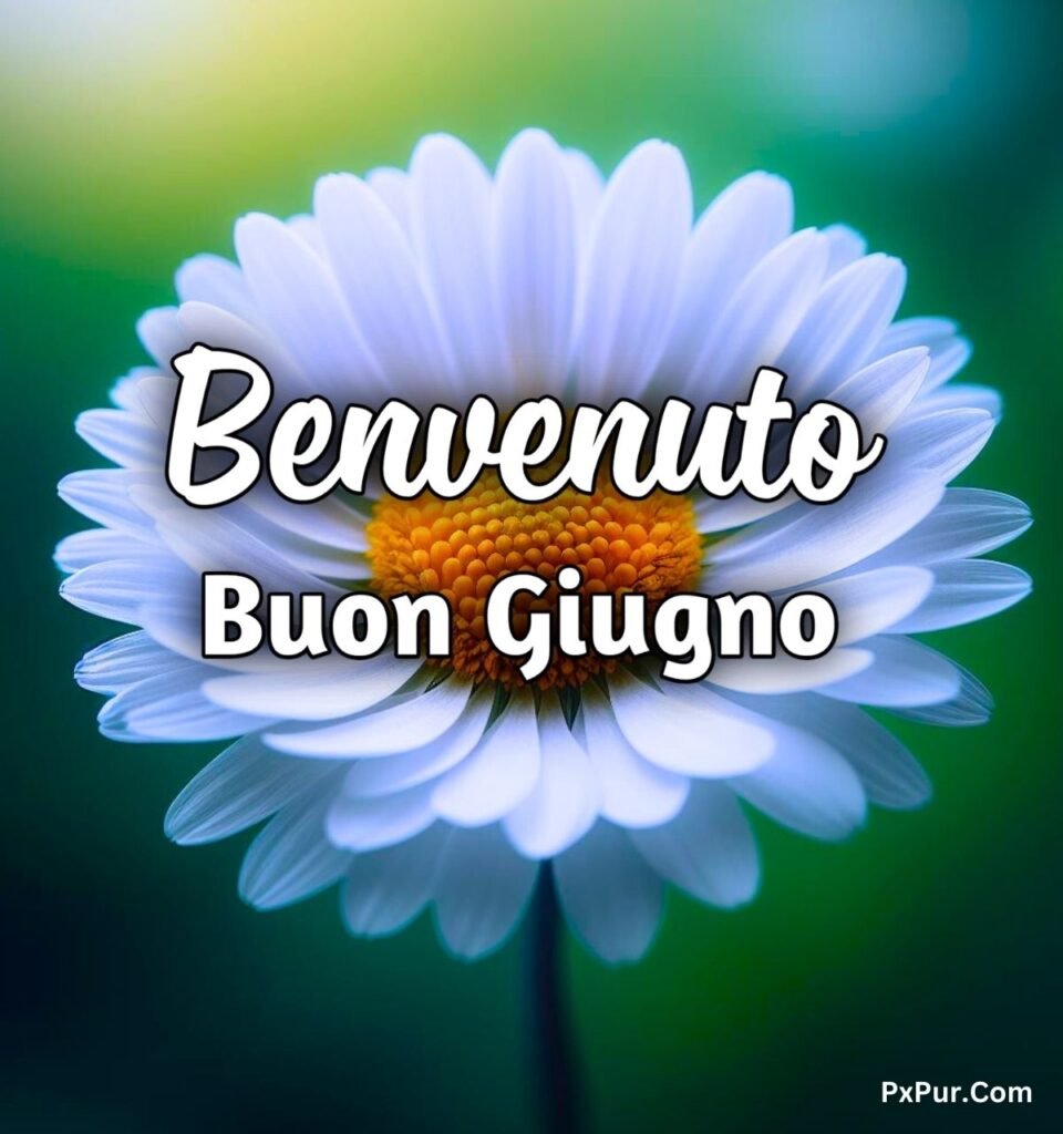 Immagini Benvenuto Giugno