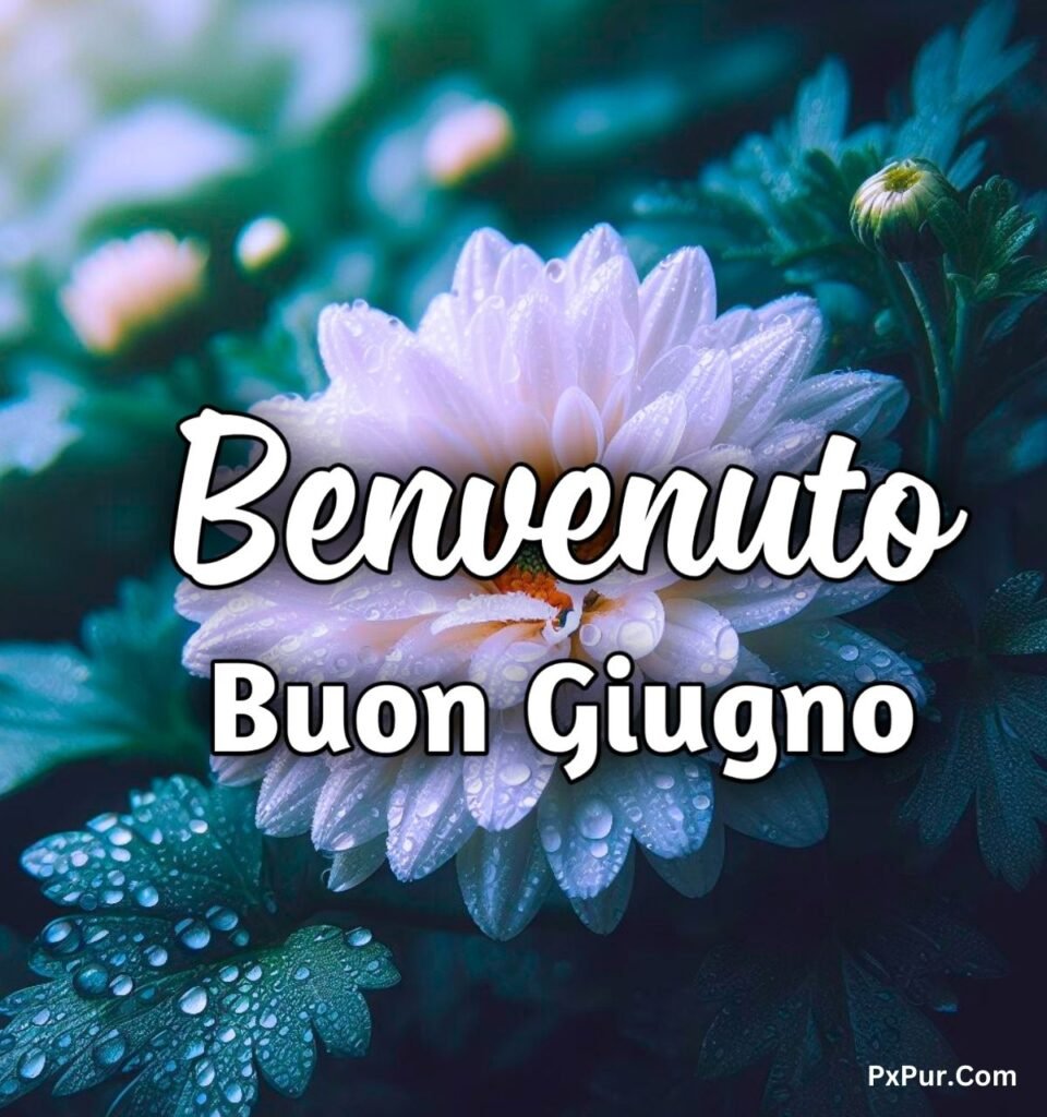 Immagini Buon Primo Giugno