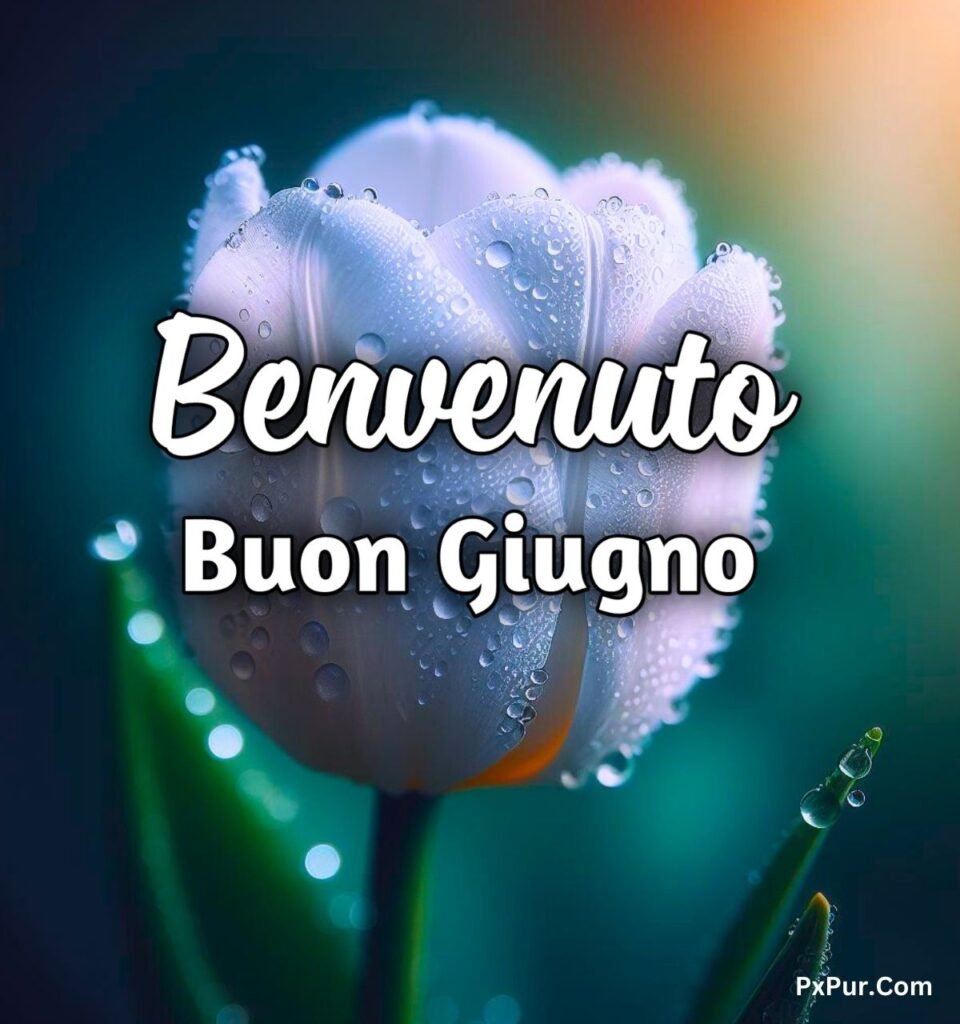 Immagini Buongiorno Benvenuto Giugno