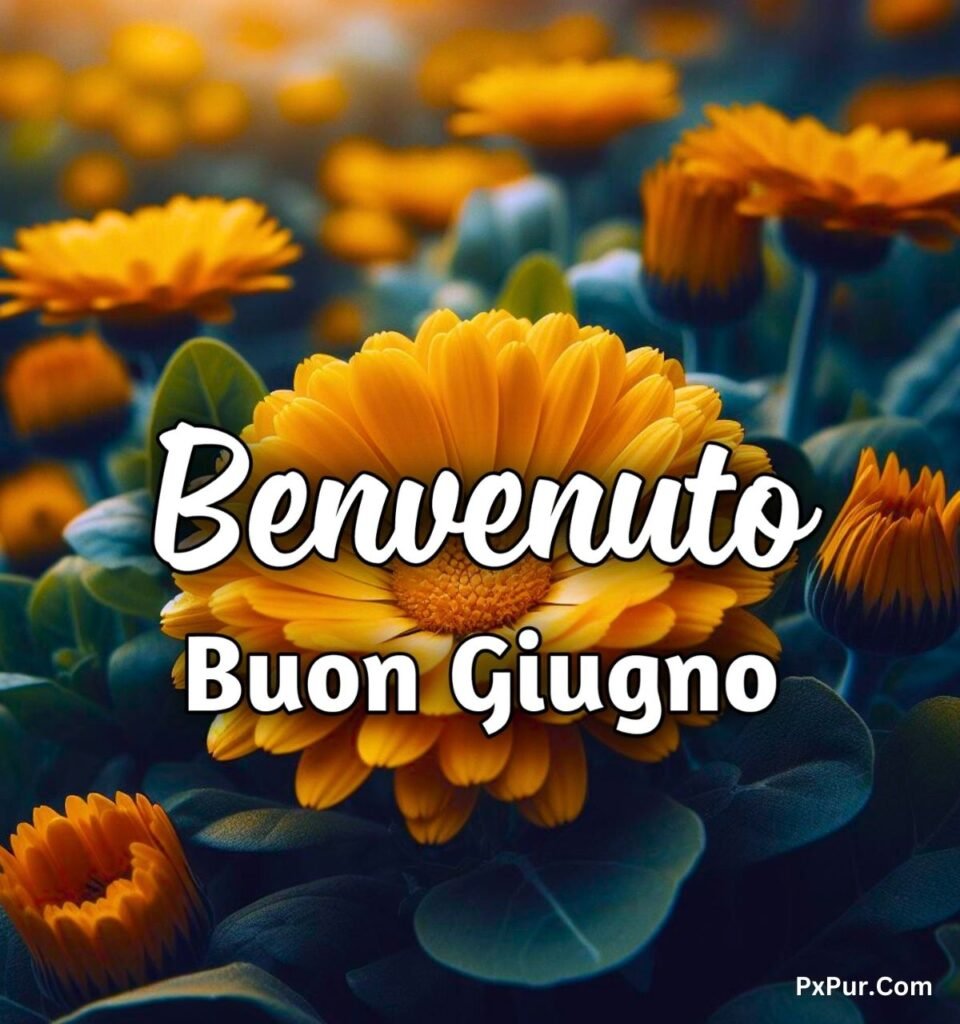 Immagini Buongiorno Buon Sabato 1 Giugno