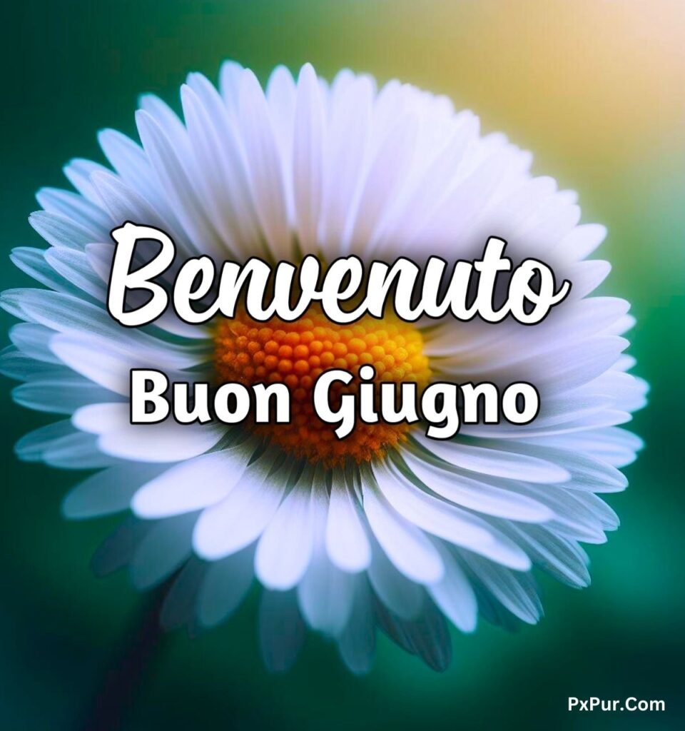 Immagini Buongiorno Buon Sabato Giugno