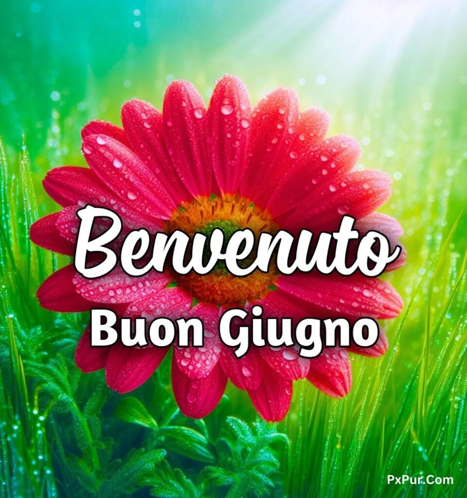 Primo Giugno Buongiorno