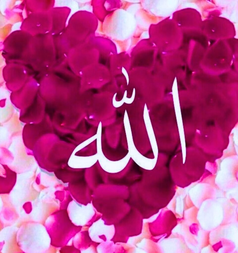 I Love Allah Profile Pic